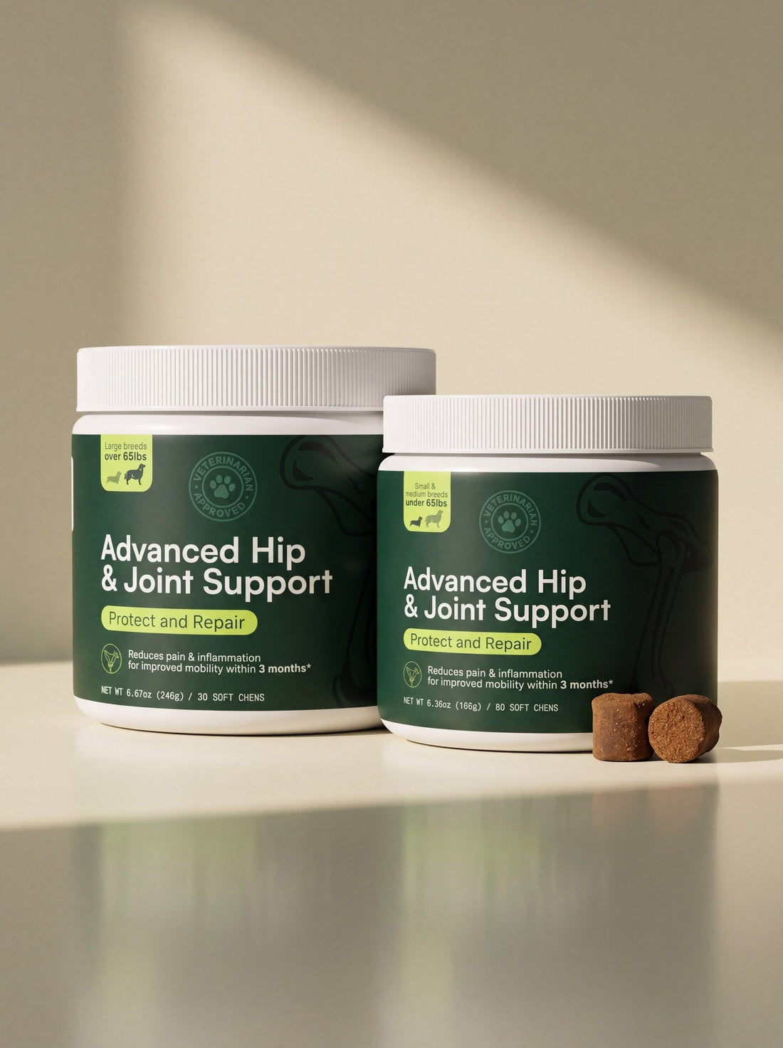 What to Look for in a Joint Supplement for Dogs
