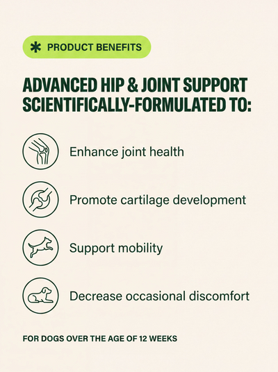Advanced Hip & Joint Support for Dogs – Protect and Repair