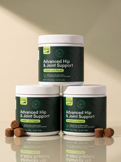 Advanced Hip & Joint Support for Dogs – Protect and Repair
