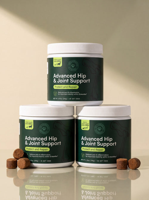 Advanced Hip & Joint Support for Dogs – Protect and Repair