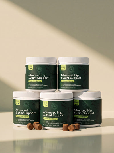Advanced Hip & Joint Support for Dogs – Protect and Repair
